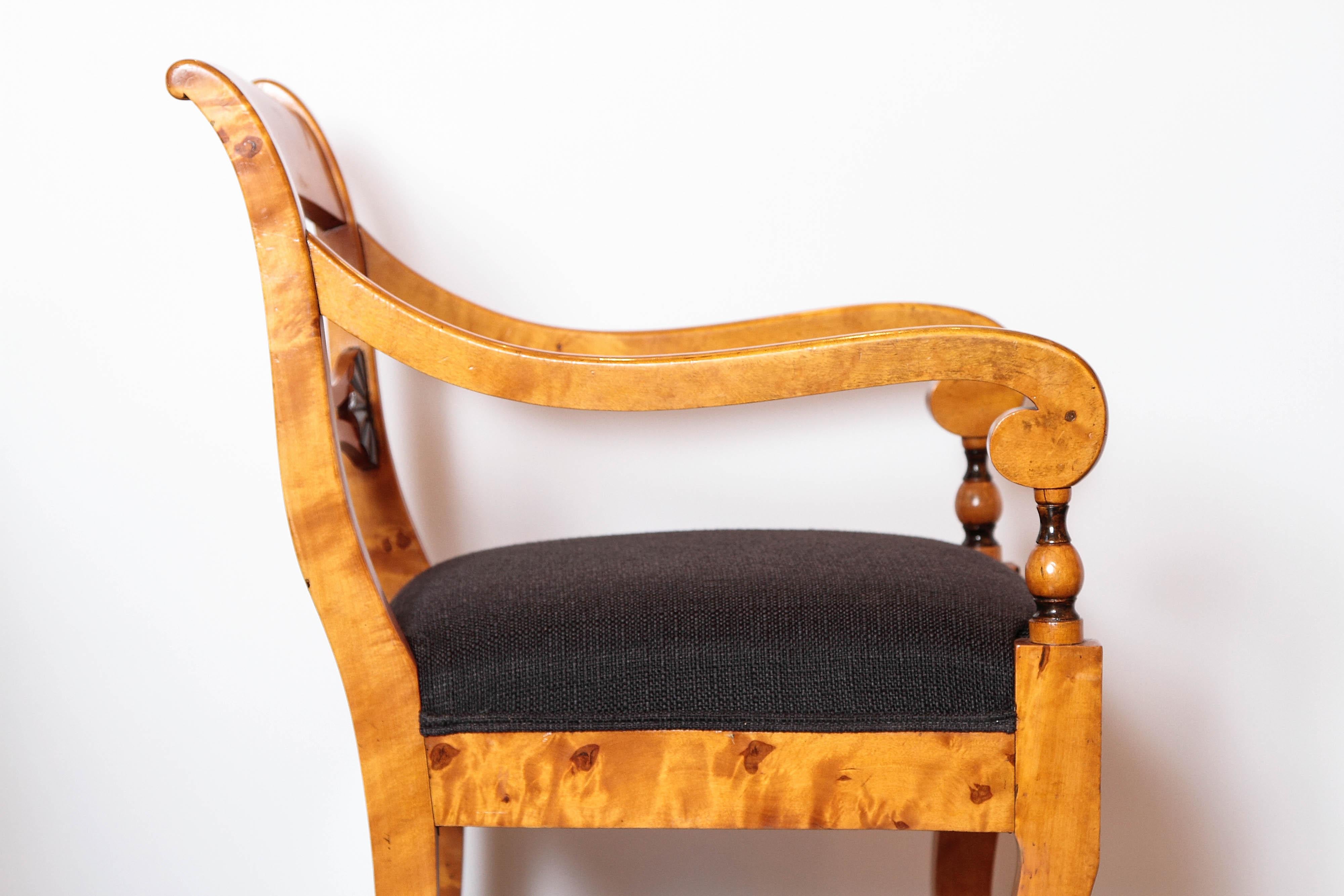 Pair of 19th Century Biedermeier Satinwood Birch and Ebonized Open Armchairs 1