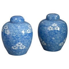 Pair of 19th Century Blue and White Glazed Jars and Covers