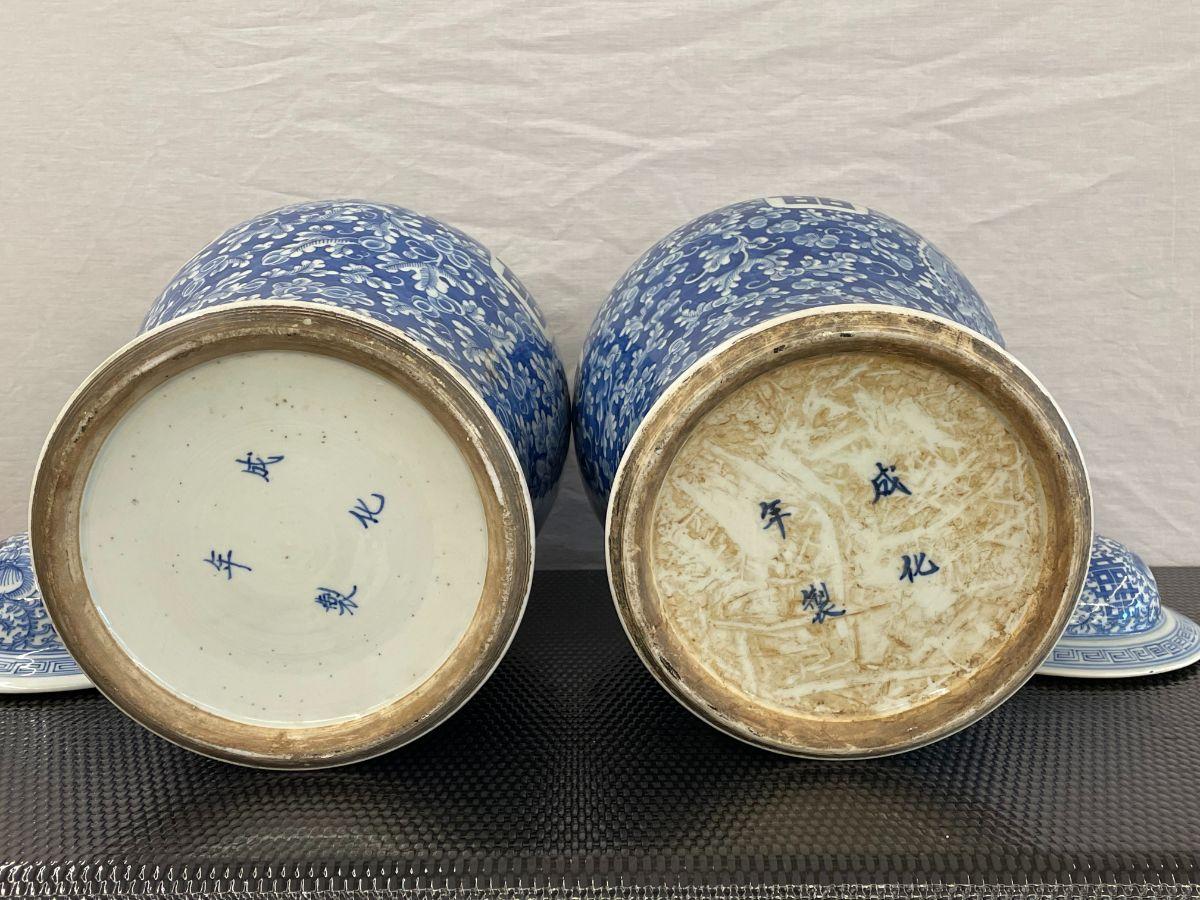 Paire de jarres/urnes de temple à couvercle bleu et blanc du 19ème siècle en vente 6