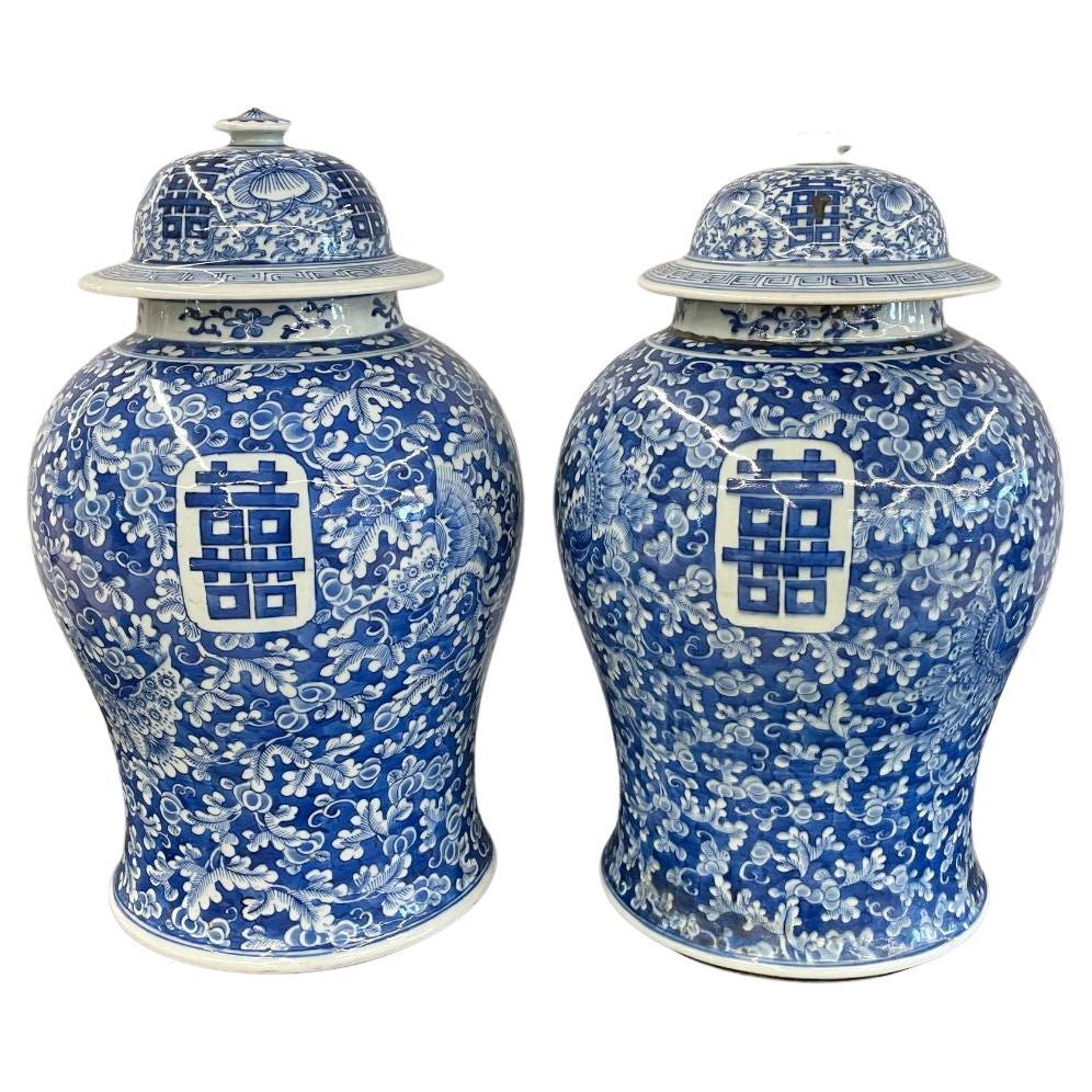 Pair of 19th Century Blue and White Lidded Temple Jars/Urns For Sale