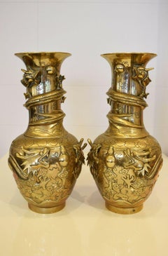 Paar Messingvasen aus dem 19. Jahrhundert:: chinesisch mit Drachenmotiv