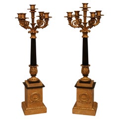 Pair of 19th Century Bronze and Ormolu 5-Light Candelabra