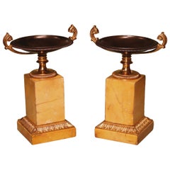 Pair of 19th Century Bronze and Ormolu Tazzas