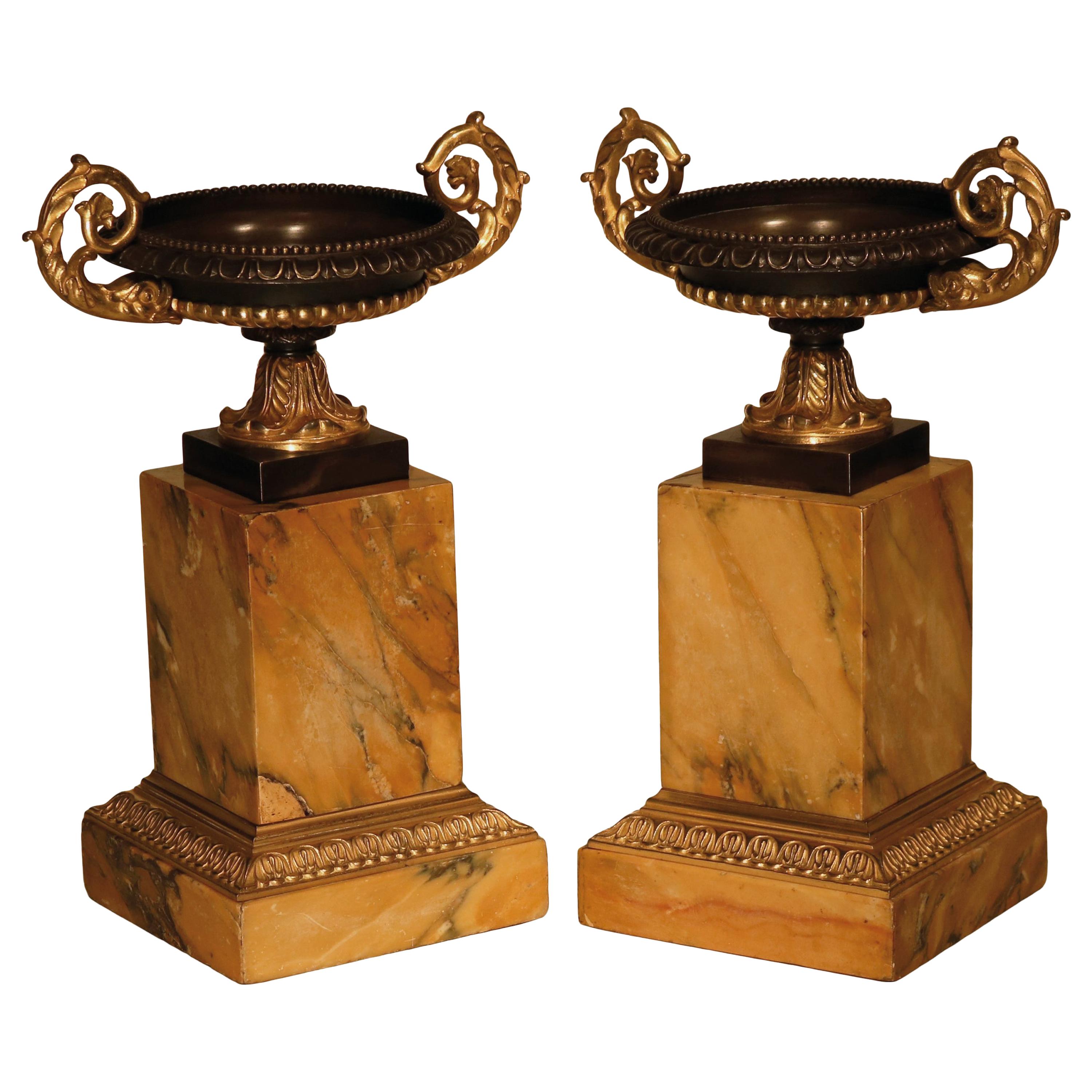Pair of 19th Century Bronze and Ormolu Tazzas