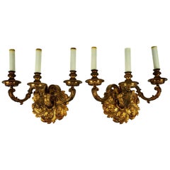 Antique Pair of 19th Century Bronze Doré Three-Arm Sconces