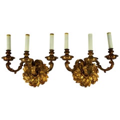 Pair of 19th Century Bronze Doré Three-Arm Sconces