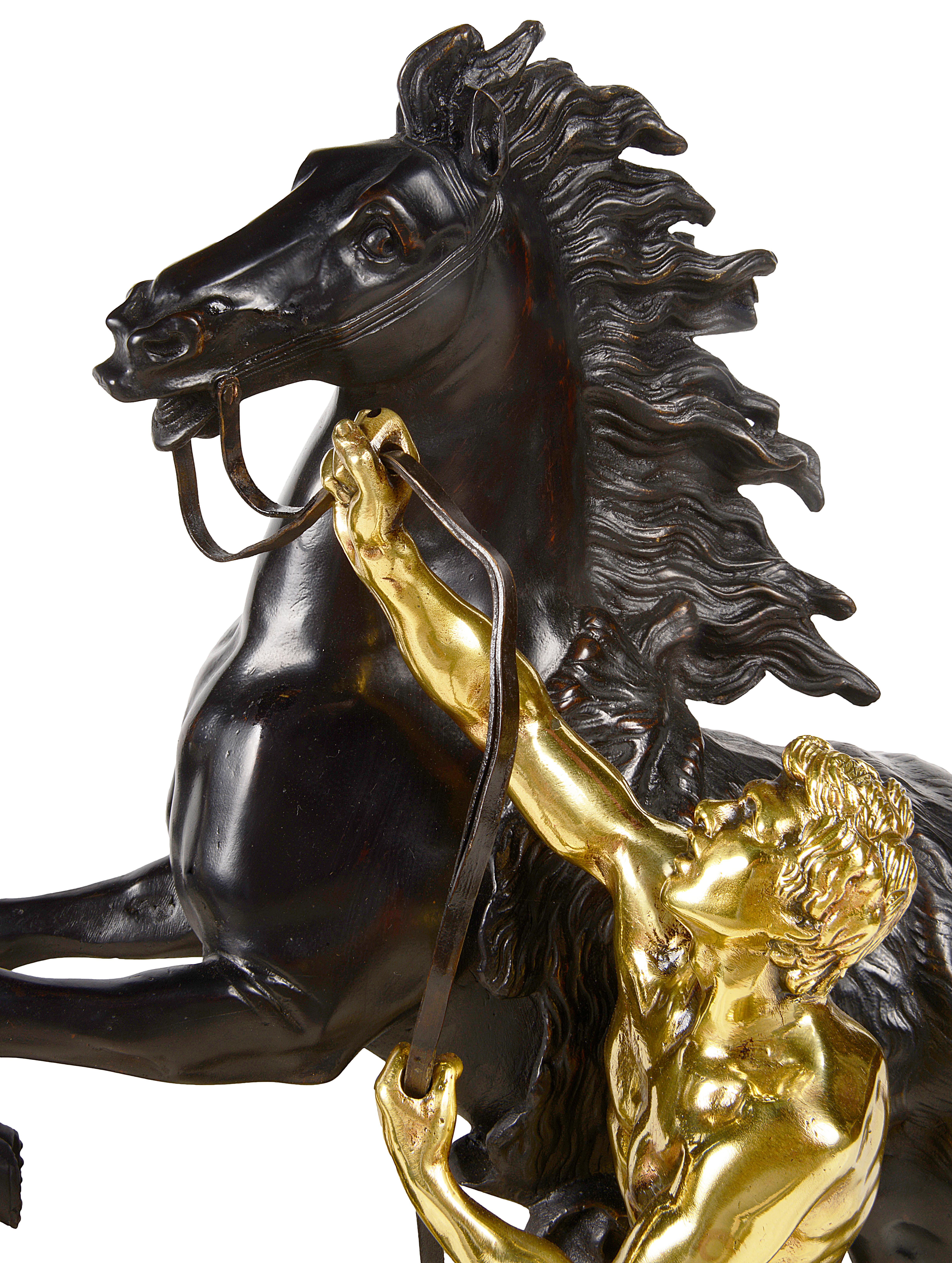 Patinated Pair of 19th Century Bronze Marly Horses, After Coustou
