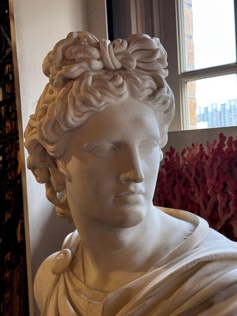 Pair of 19th Century Carrara Marble Busts of Apollo and Diana In Fair Condition For Sale In Dallas, TX