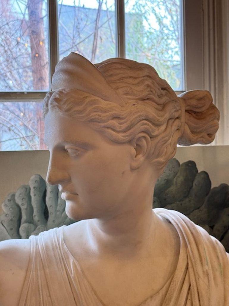 Pair of 19th Century Carrara Marble Busts of Apollo and Diana For Sale 1