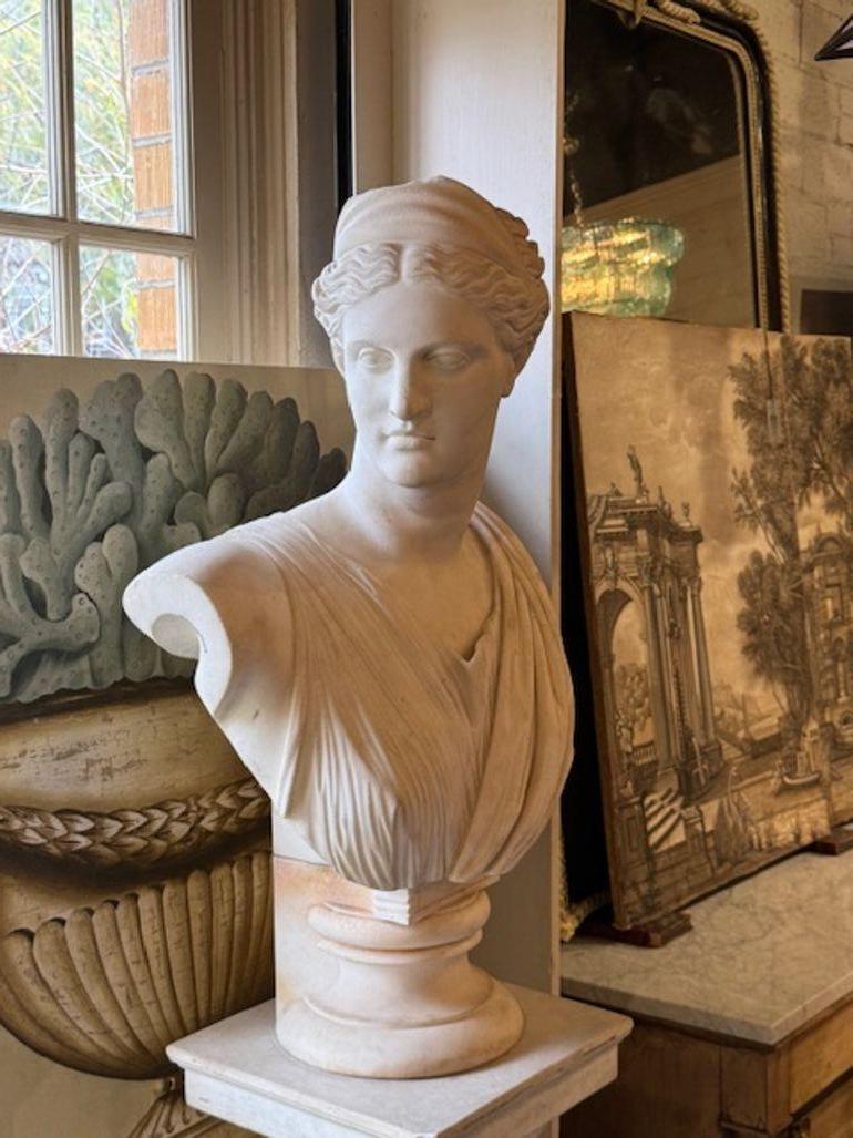 Pair of 19th Century Carrara Marble Busts of Apollo and Diana For Sale 2