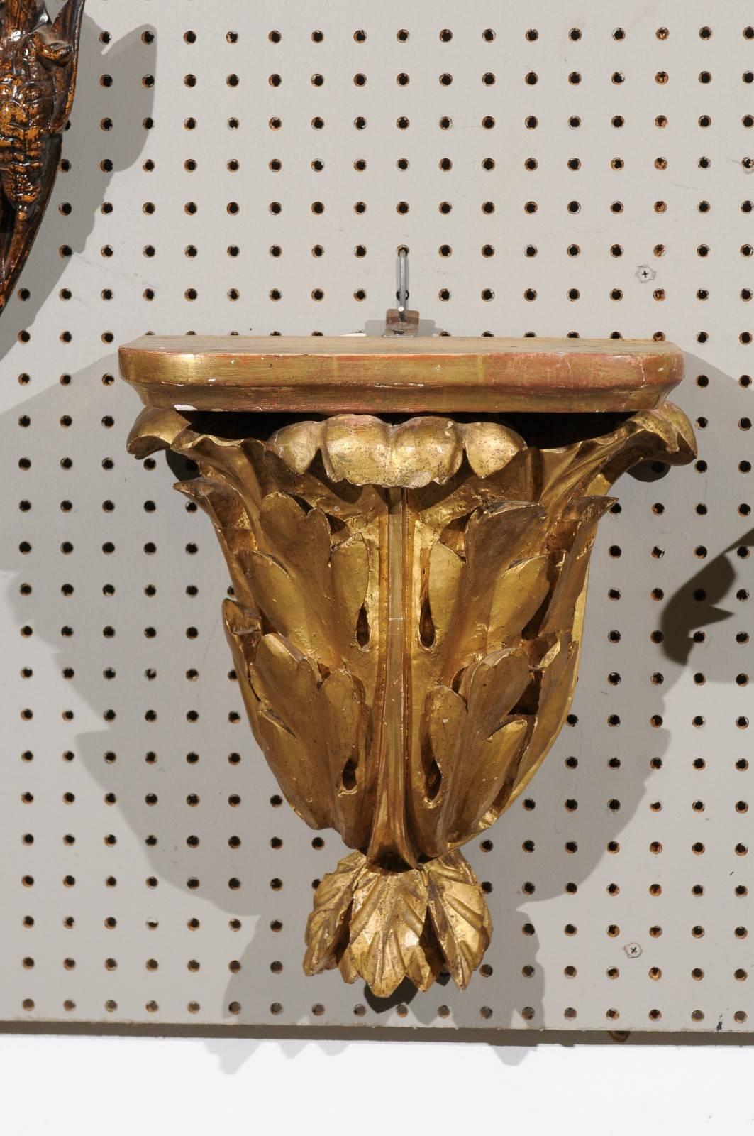 Pair of 19th century carved wood gilded brackets, circa 1890
A stunning pair of French gilded brackets adorned with large flowing acanthus leaves. Theses brackets have good depth and size that will add a beautiful architectural element to your wall.