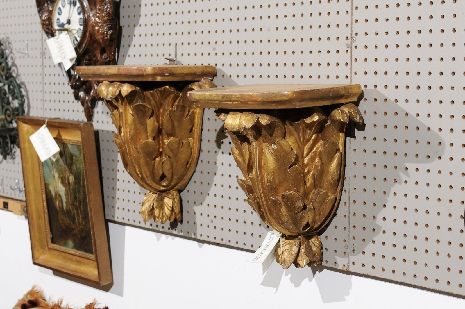 Gilt Pair of 19th Century Carved Wood Gilded Brackets, circa 1890 For Sale