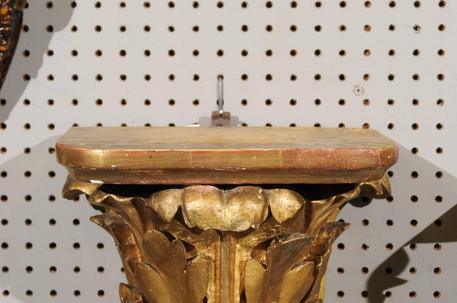Hardwood Pair of 19th Century Carved Wood Gilded Brackets, circa 1890 For Sale