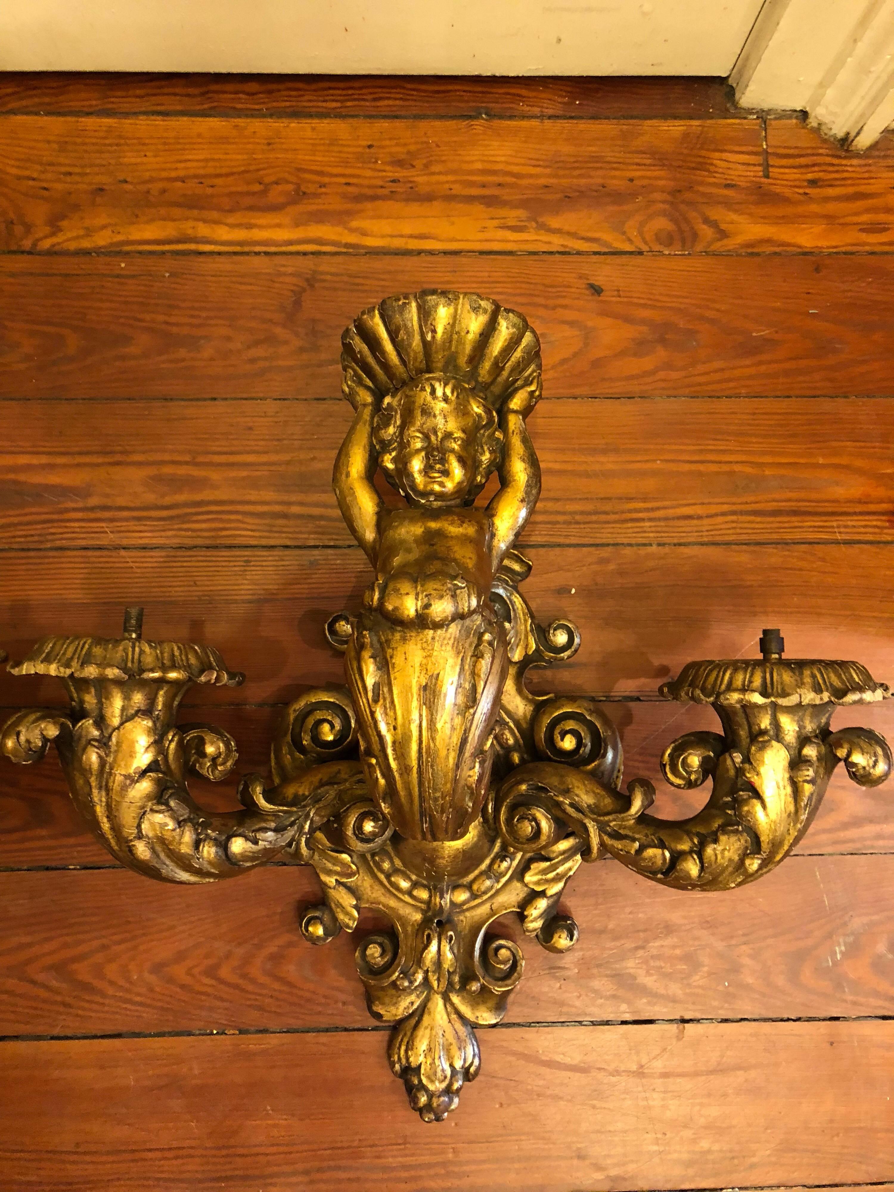 Pair of Italian 19th century carved giltwood wall sconces probably originally gas. Having cherubs holding a shell in the central stem with two foliate stems on each side all on a foliate backplate.