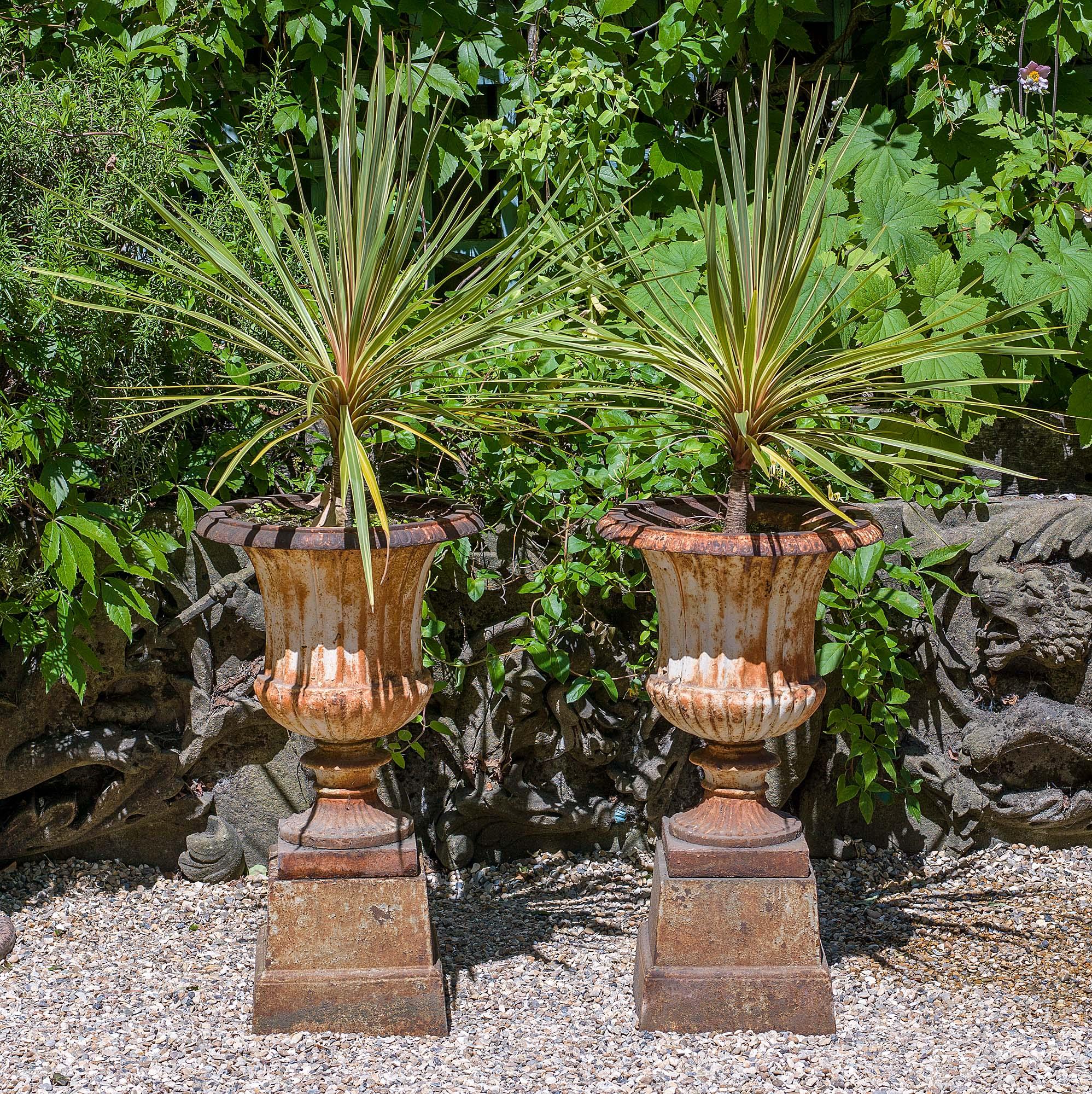 A pair of 19th century cast iron Campan garden urns mounted on their original plinths, English, late 19th century.