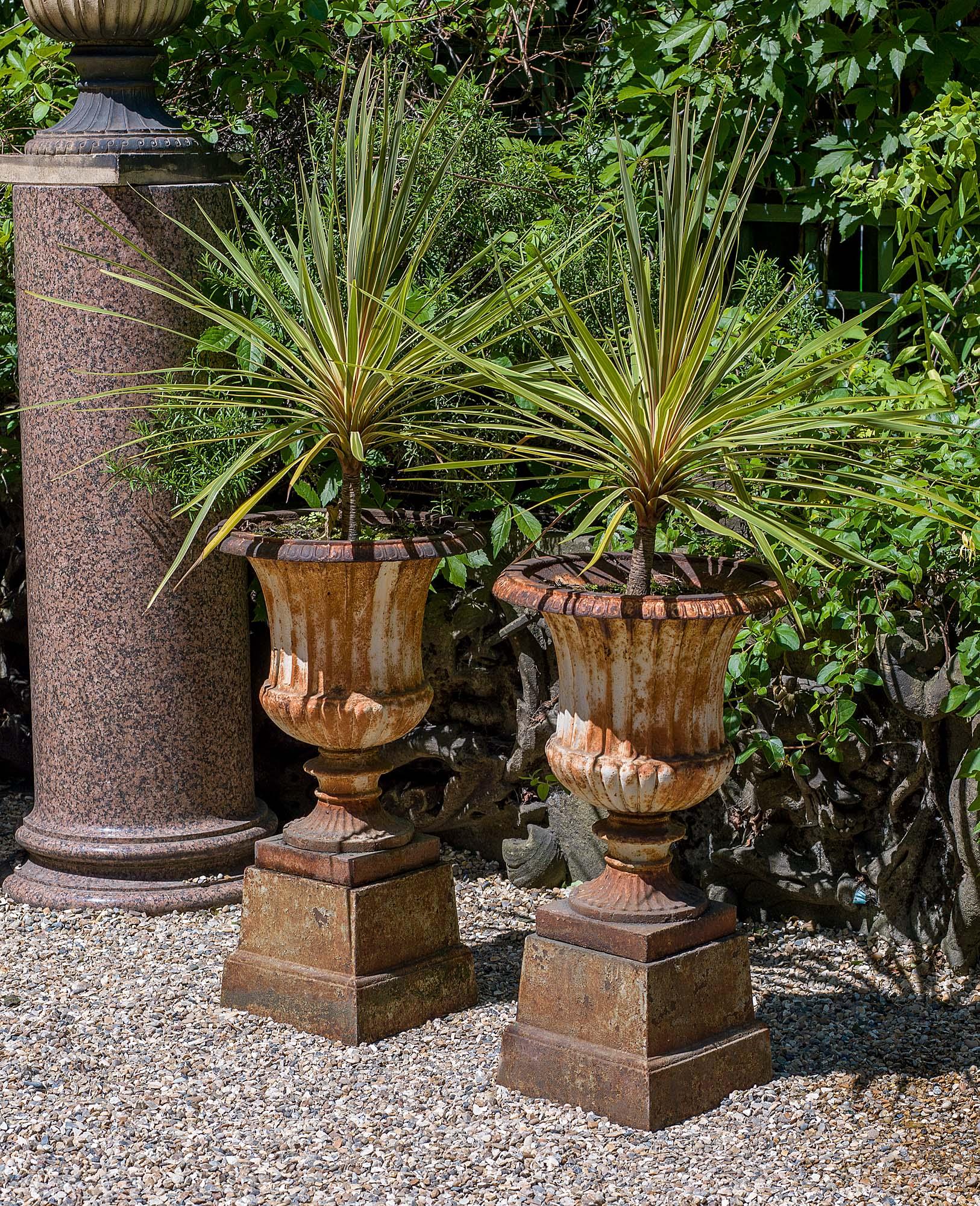 English Pair of 19th Century Cast Iron Campan Garden Urns