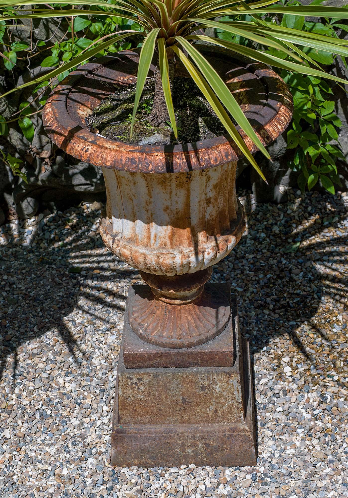 Pair of 19th Century Cast Iron Campan Garden Urns In Good Condition In London, GB