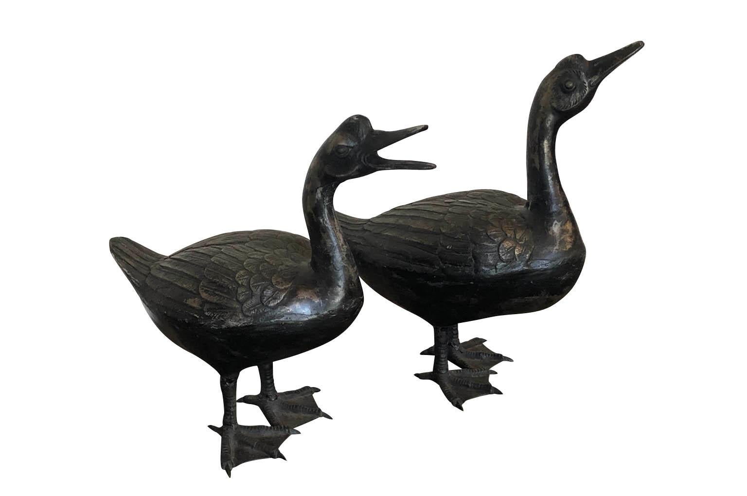 A delightful pair of later 19th century Canards - Ducks from the Provence region of France. Wonderfully crafted from painted cast iron. A very charming accent for any interior or garden. One canard measures 14 1/8