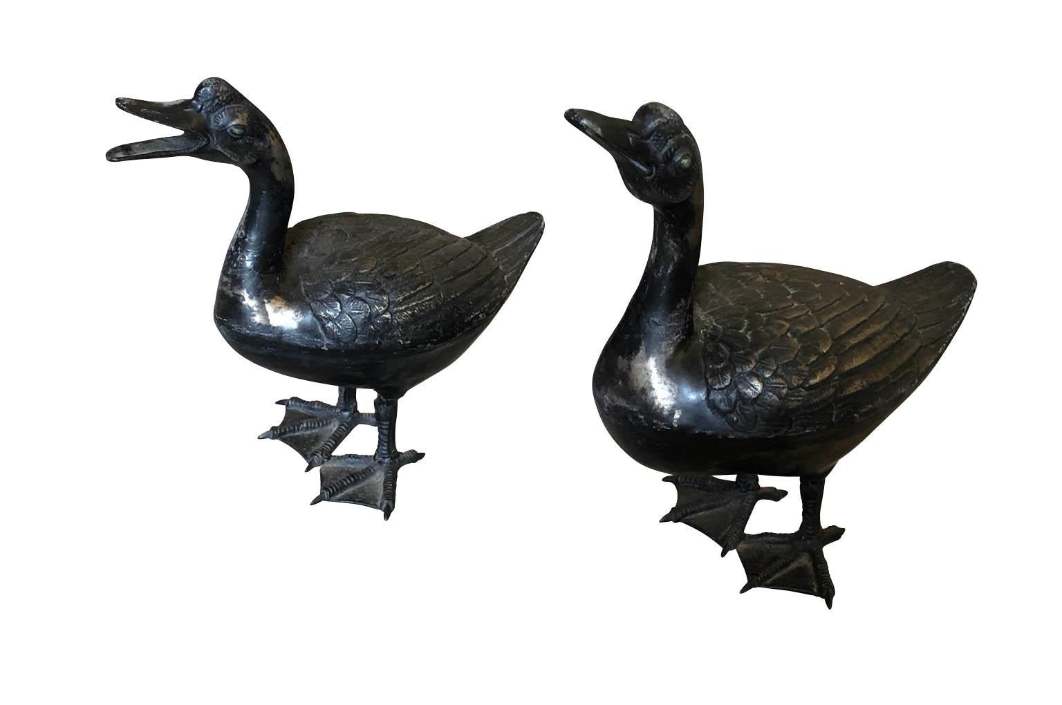 Pair of 19th Century Cast Iron Ducks 1