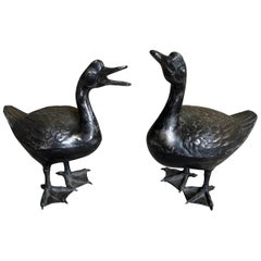 Antique Pair of 19th Century Cast Iron Ducks