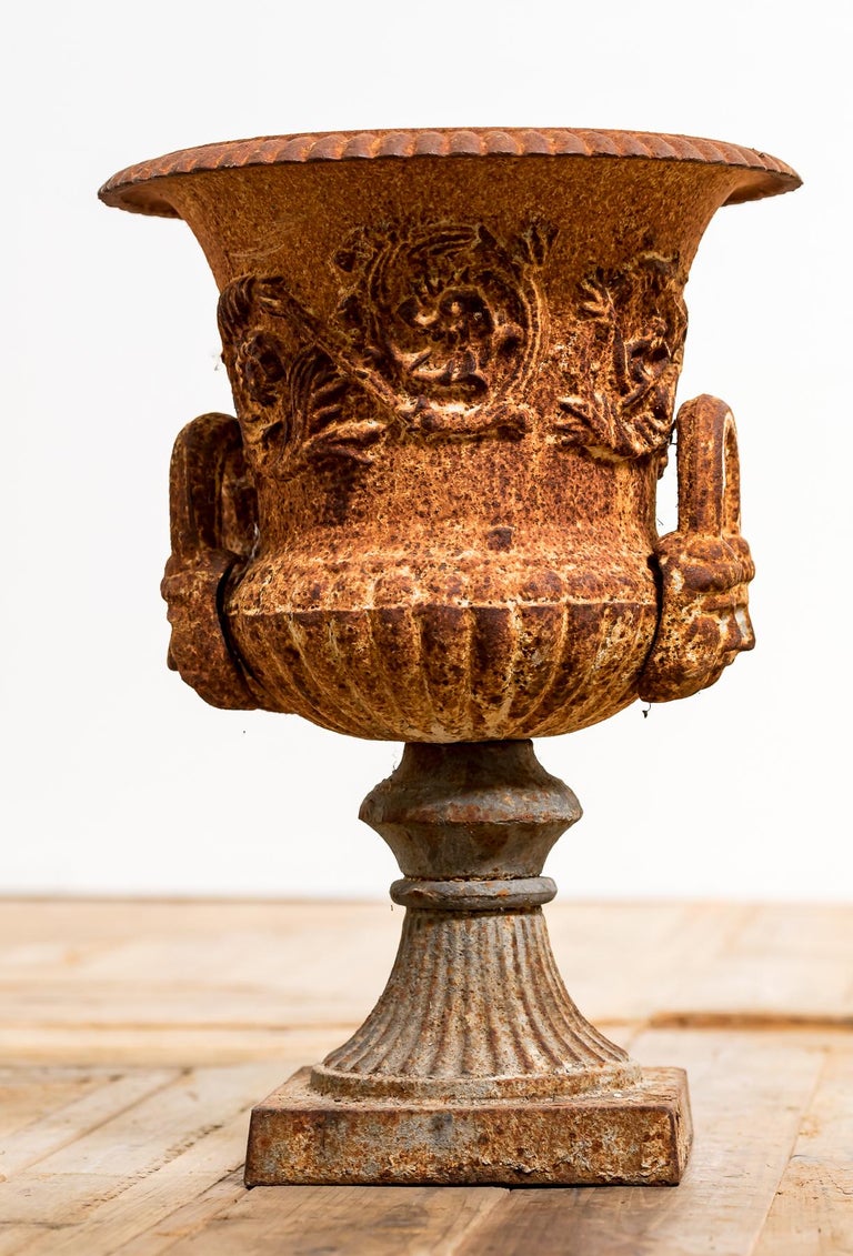 Pair of 19th Century Cast Iron Garden Urns For Sale at 1stdibs