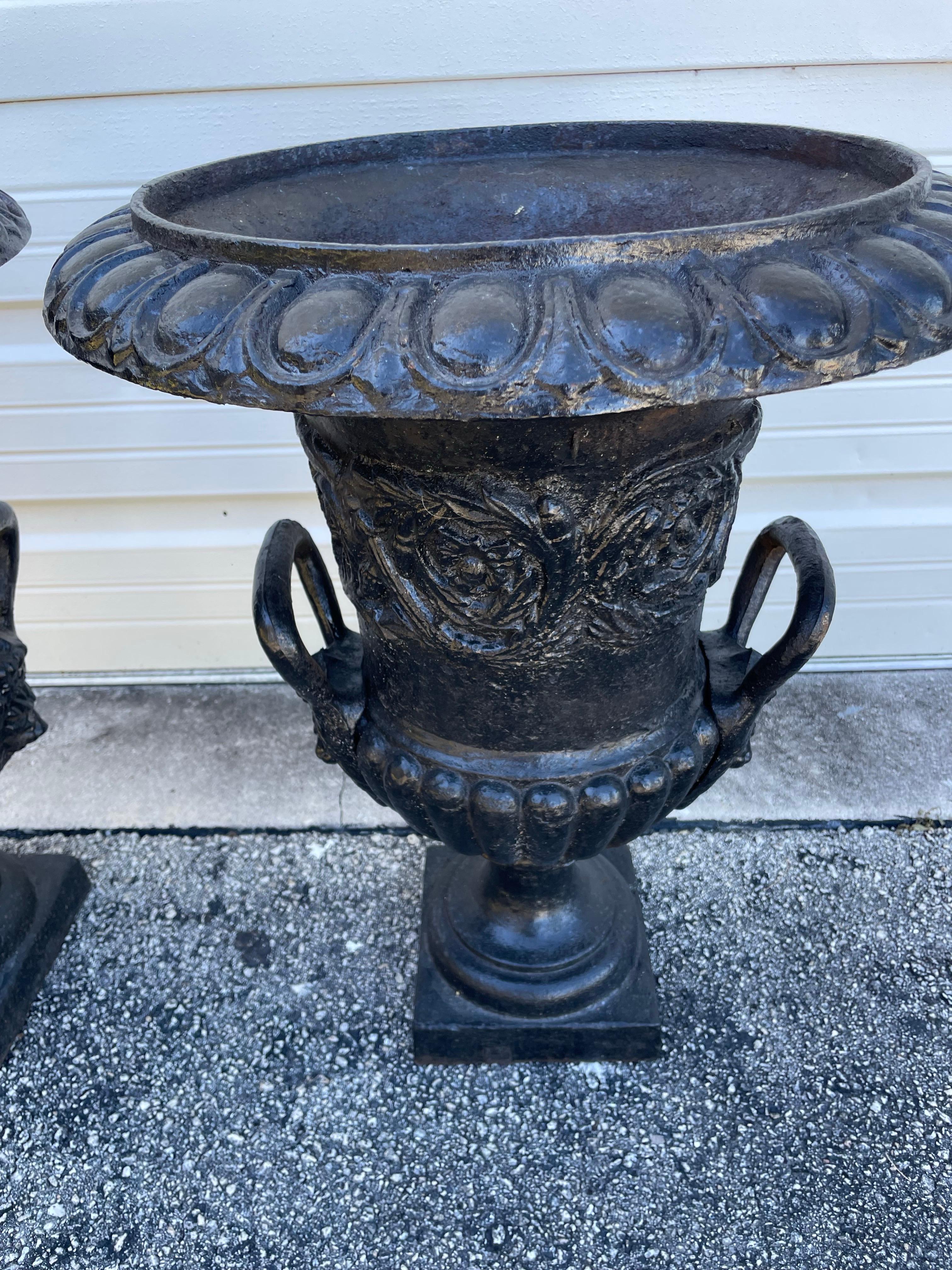 Neoclassico Coppia di vasi da giardino in ghisa del XIX secolo in vendita