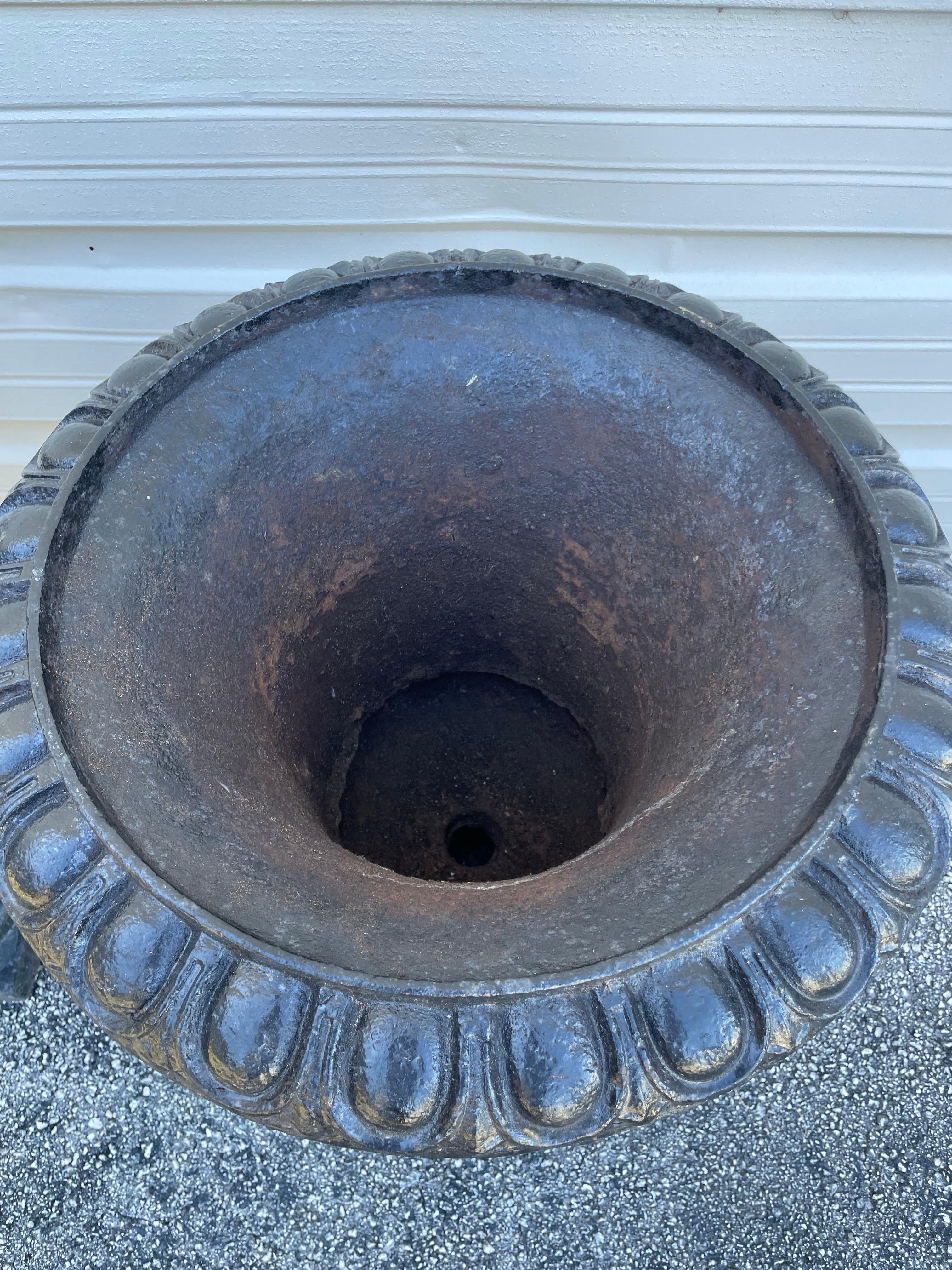 Inglese Coppia di vasi da giardino in ghisa del XIX secolo in vendita