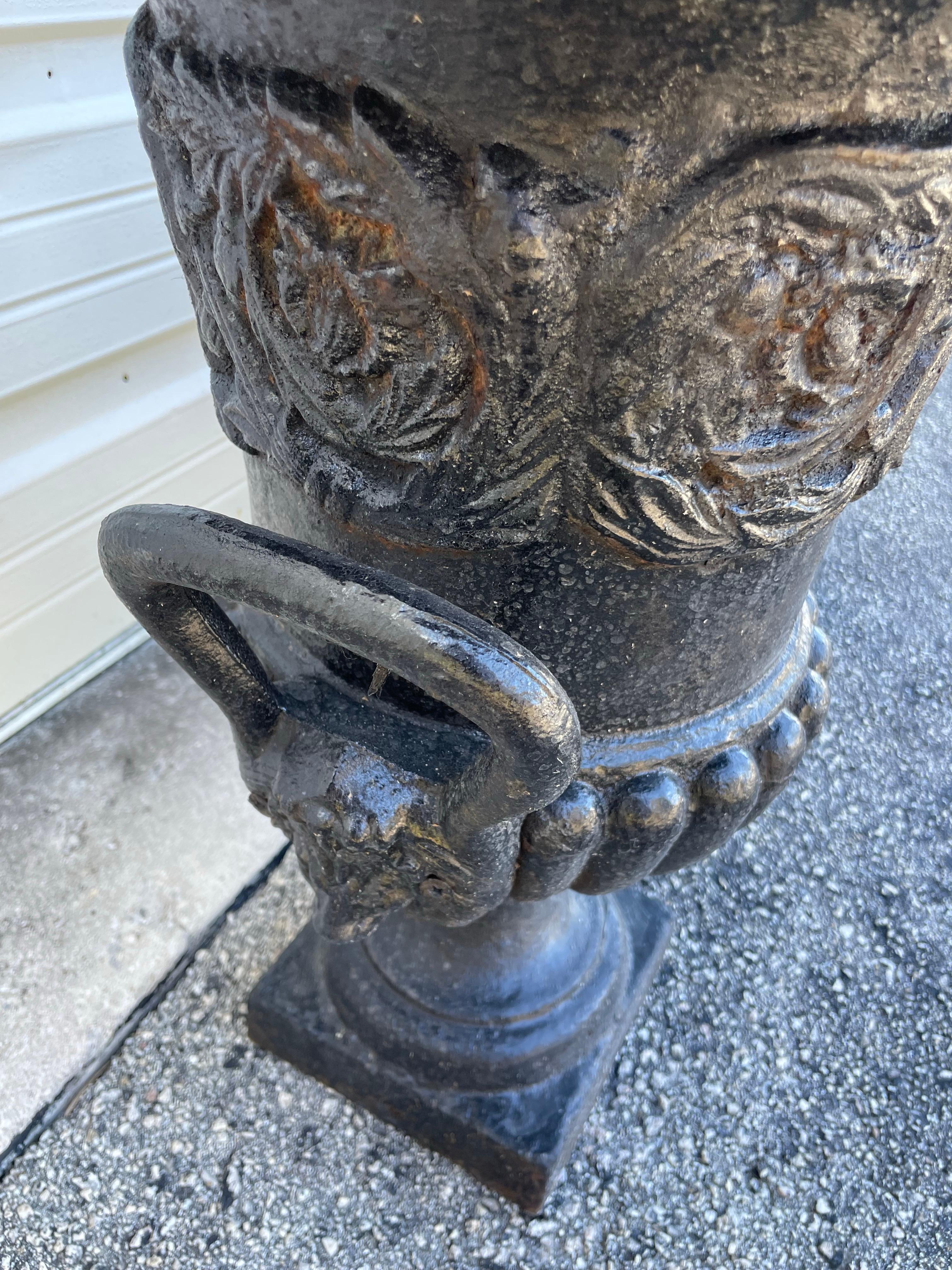 Coppia di vasi da giardino in ghisa del XIX secolo in vendita 3