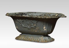 Pair of 19th Century Cast Iron Planters