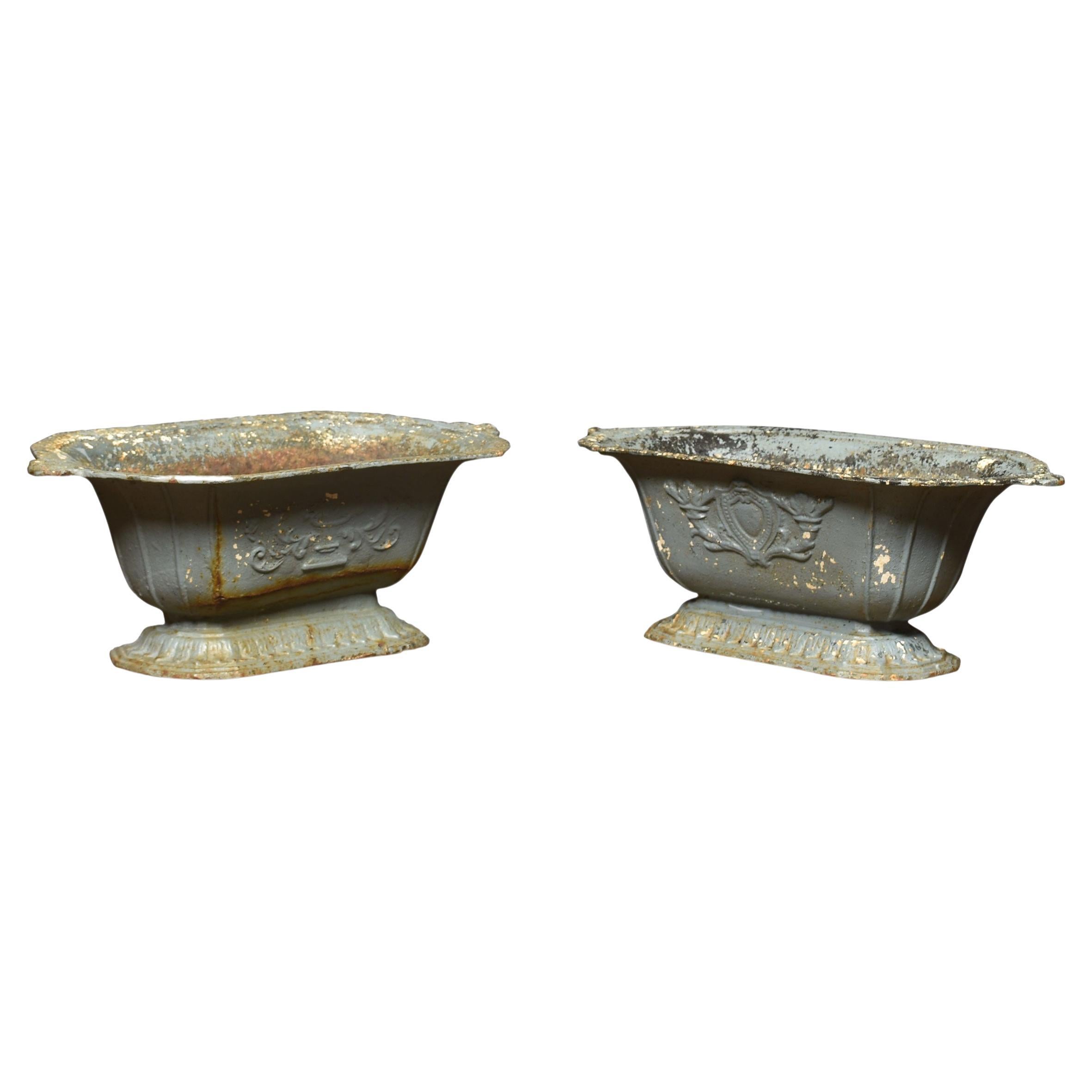 Pair of 19th Century Cast Iron Planters