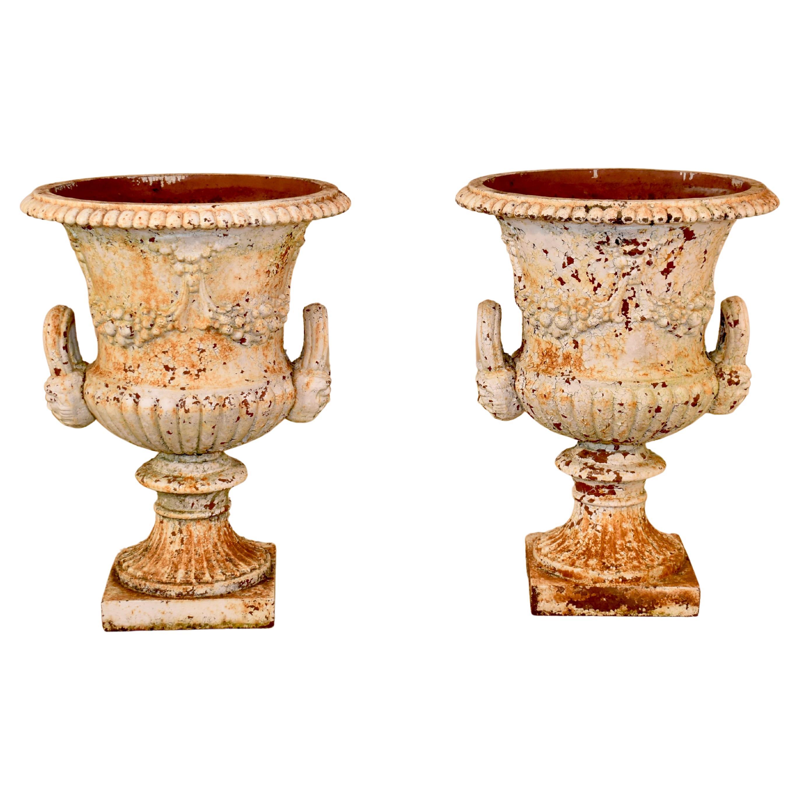 Pair of 19th Century Cast Iron Planters