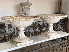 Pair of 19th Century Cast Iron Tazza Urns