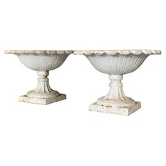 Pair of 19th Century Cast Iron Tazza Urns