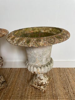 Pair of 19th century cast iron urns