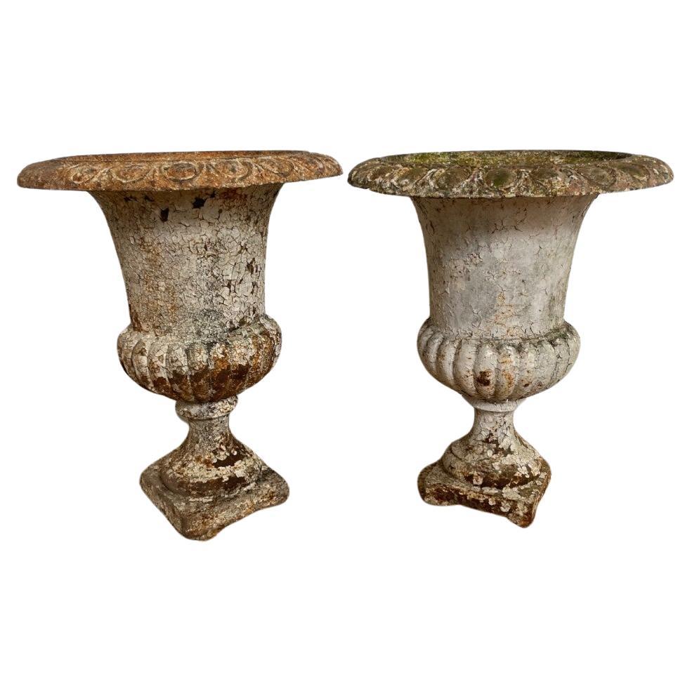 Pair of 19th century cast iron urns 