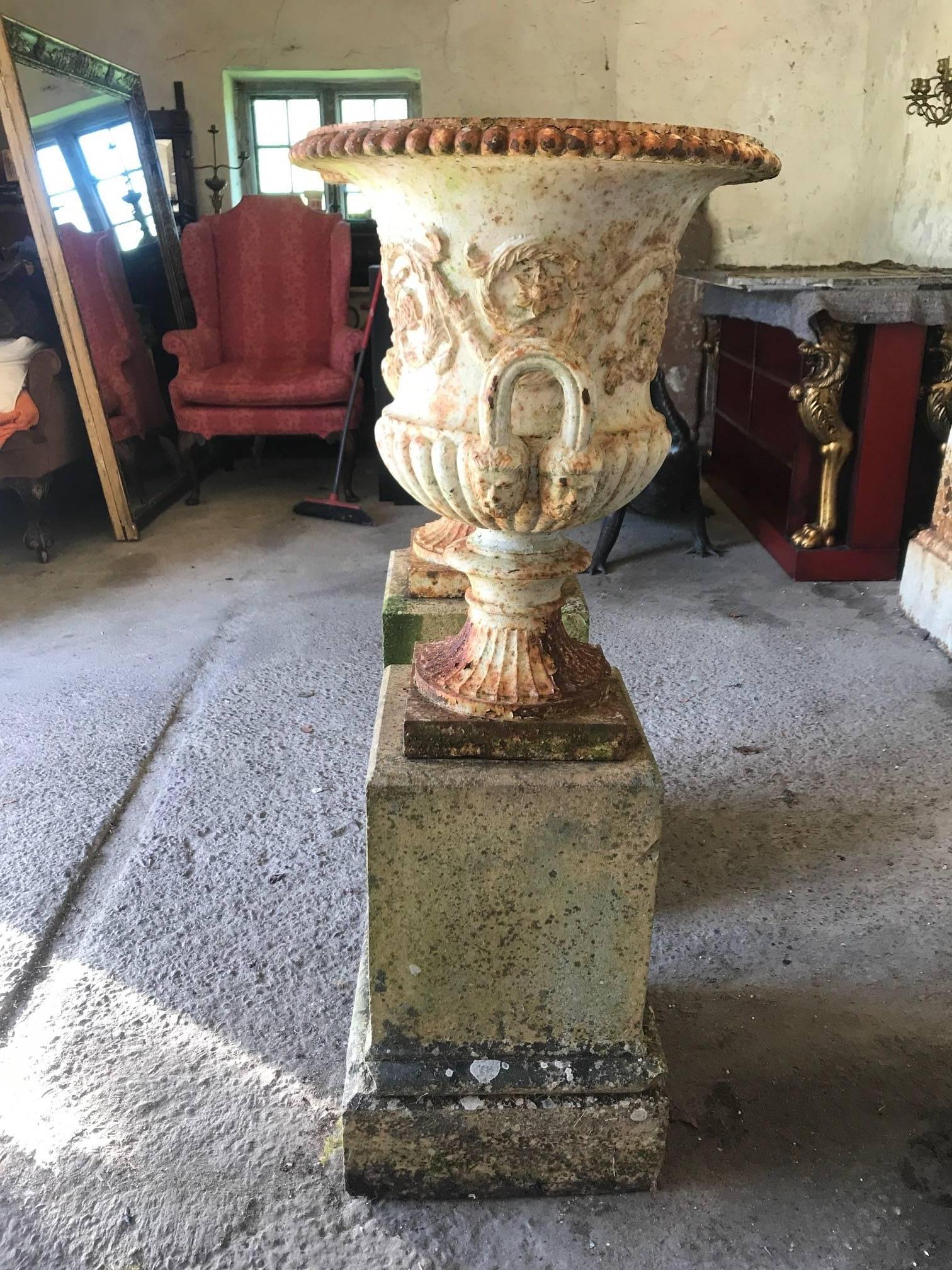 English Pair of 19th Century Cast Iron Urns on Terracotta Stands
