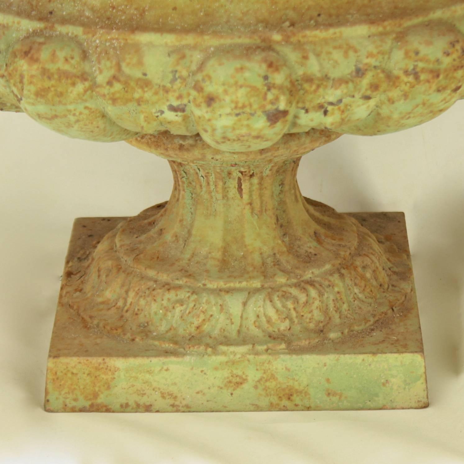 French Pair of 19th Century Cast Iron Urns or Jardinieres