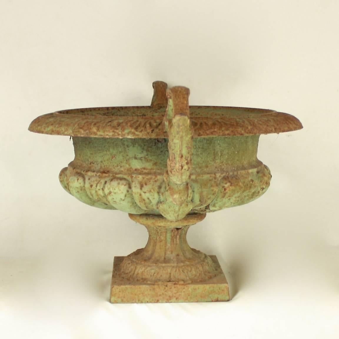 Pair of 19th Century Cast Iron Urns or Jardinieres 1