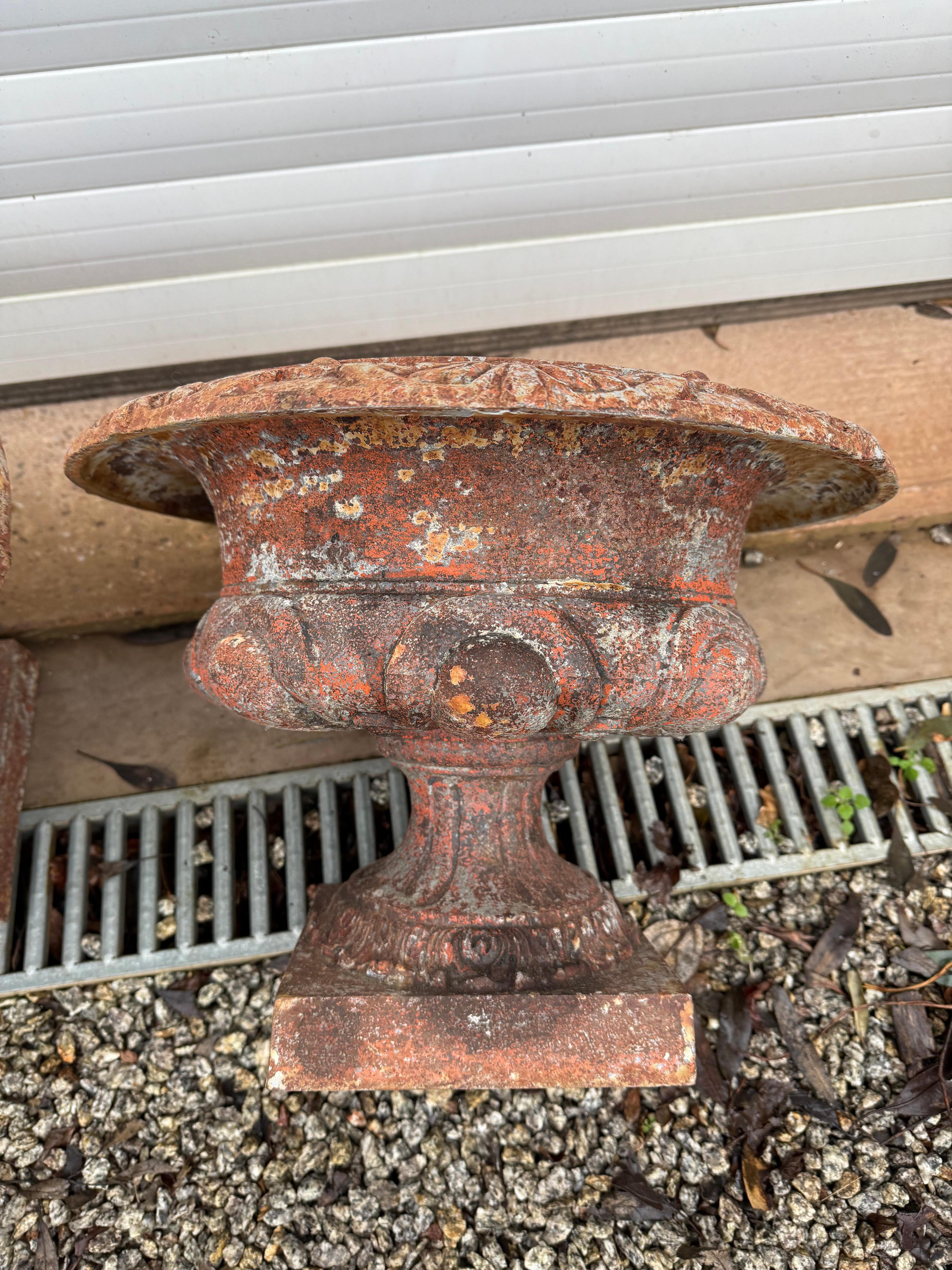 Pair of 19th century cast iron urns / planters For Sale 5