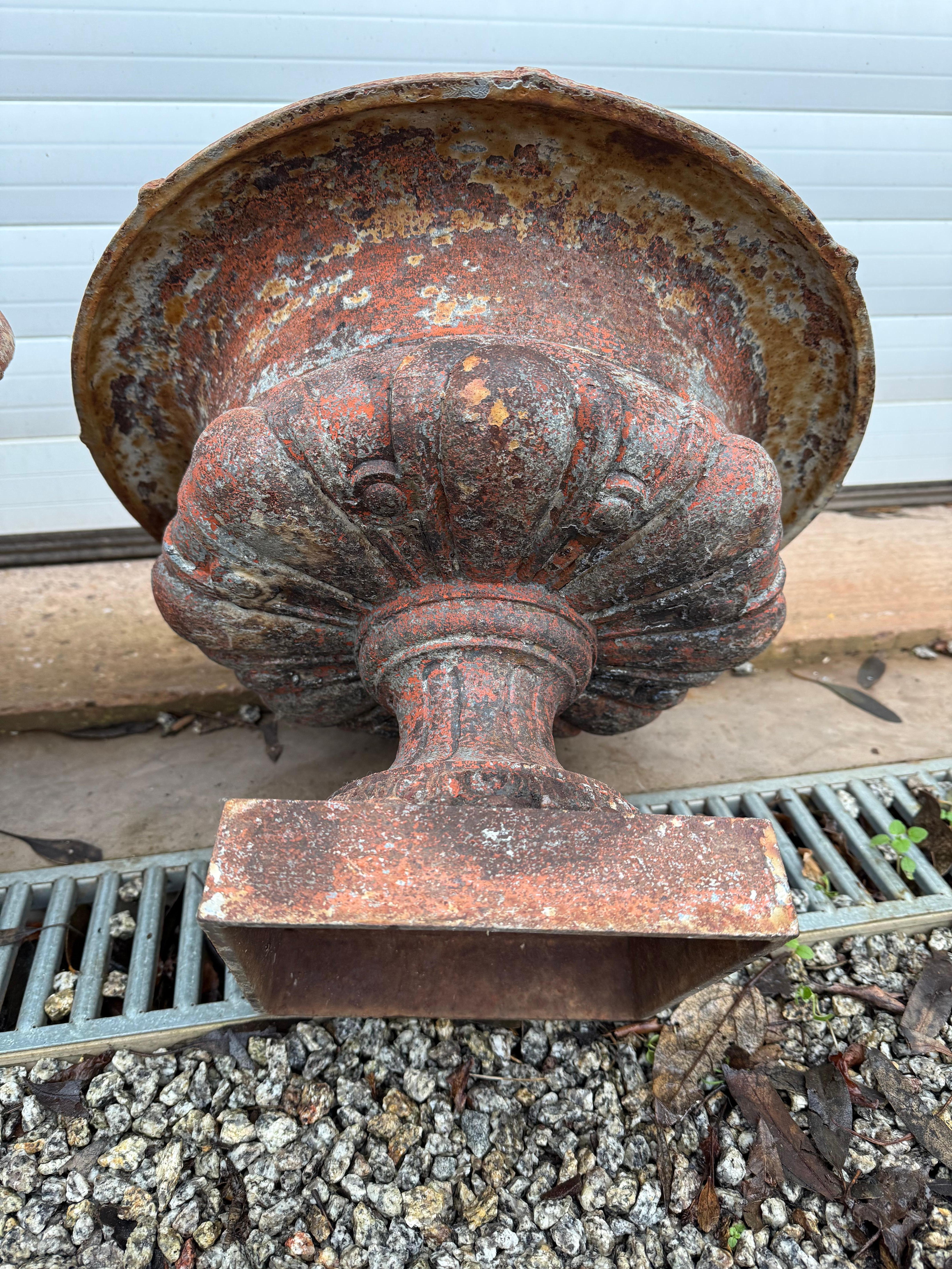 French Pair of 19th century cast iron urns / planters For Sale