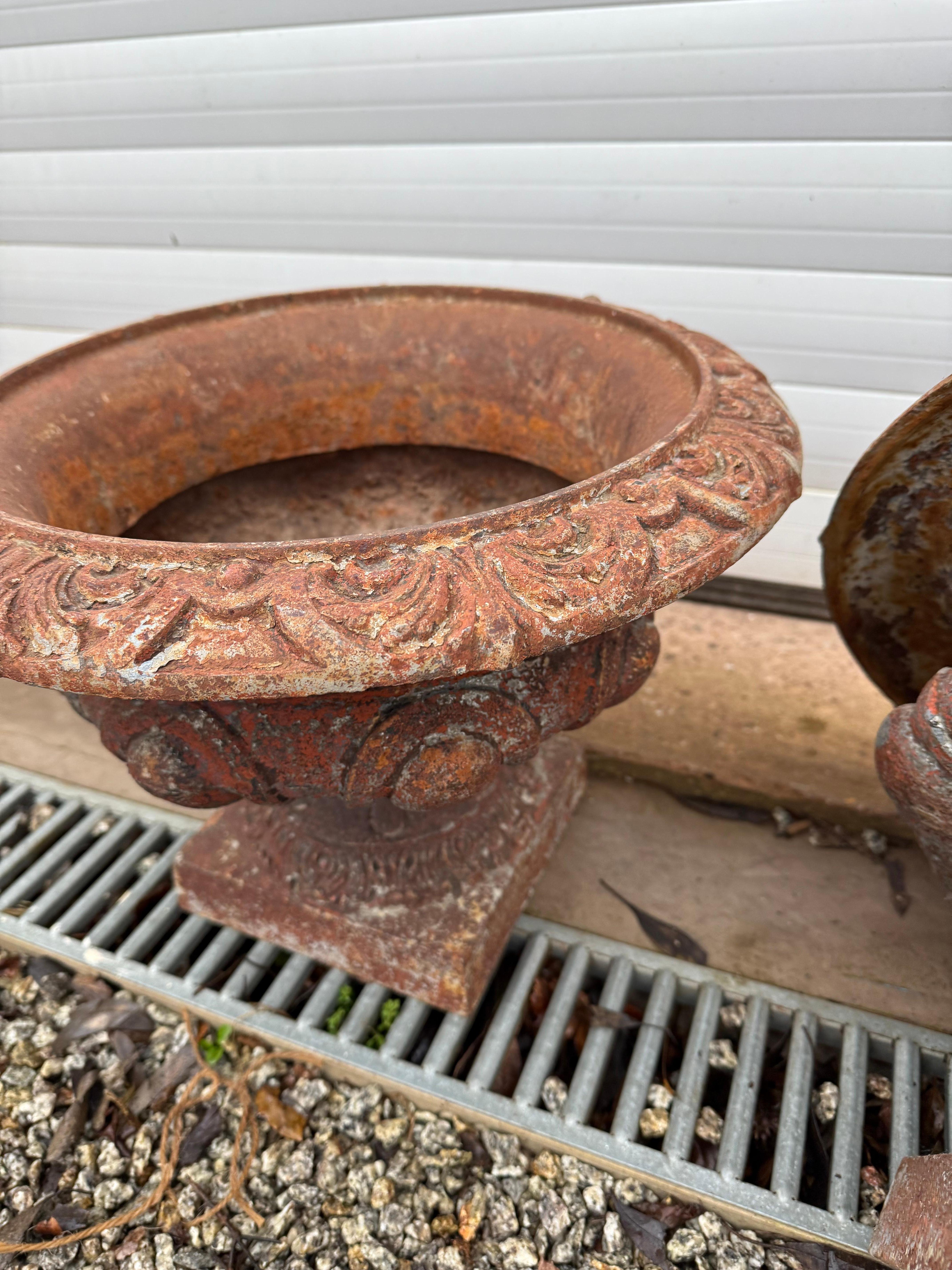 Pair of 19th century cast iron urns / planters In Good Condition For Sale In Budleigh Salterton, GB