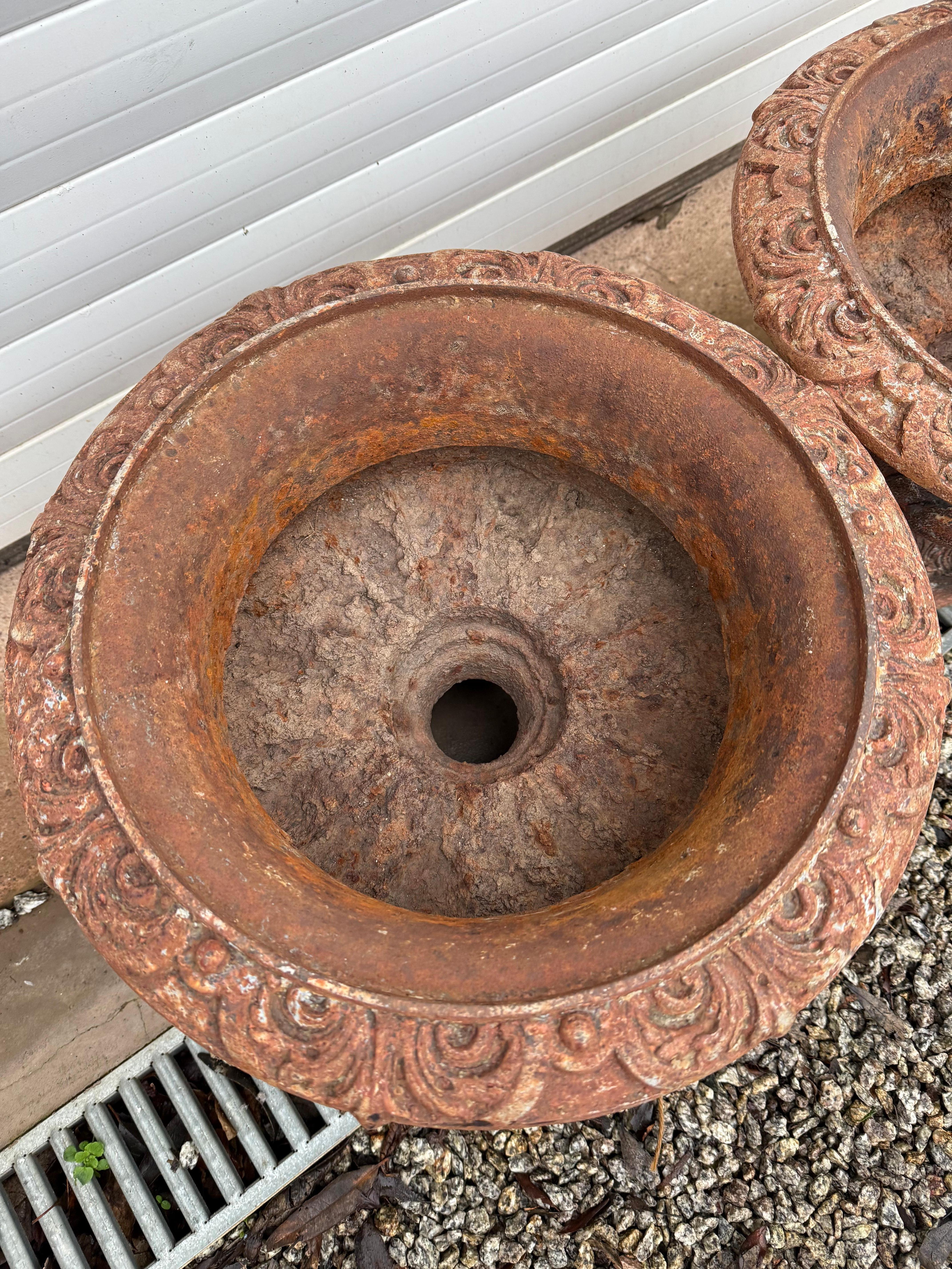 Late 19th Century Pair of 19th century cast iron urns / planters For Sale