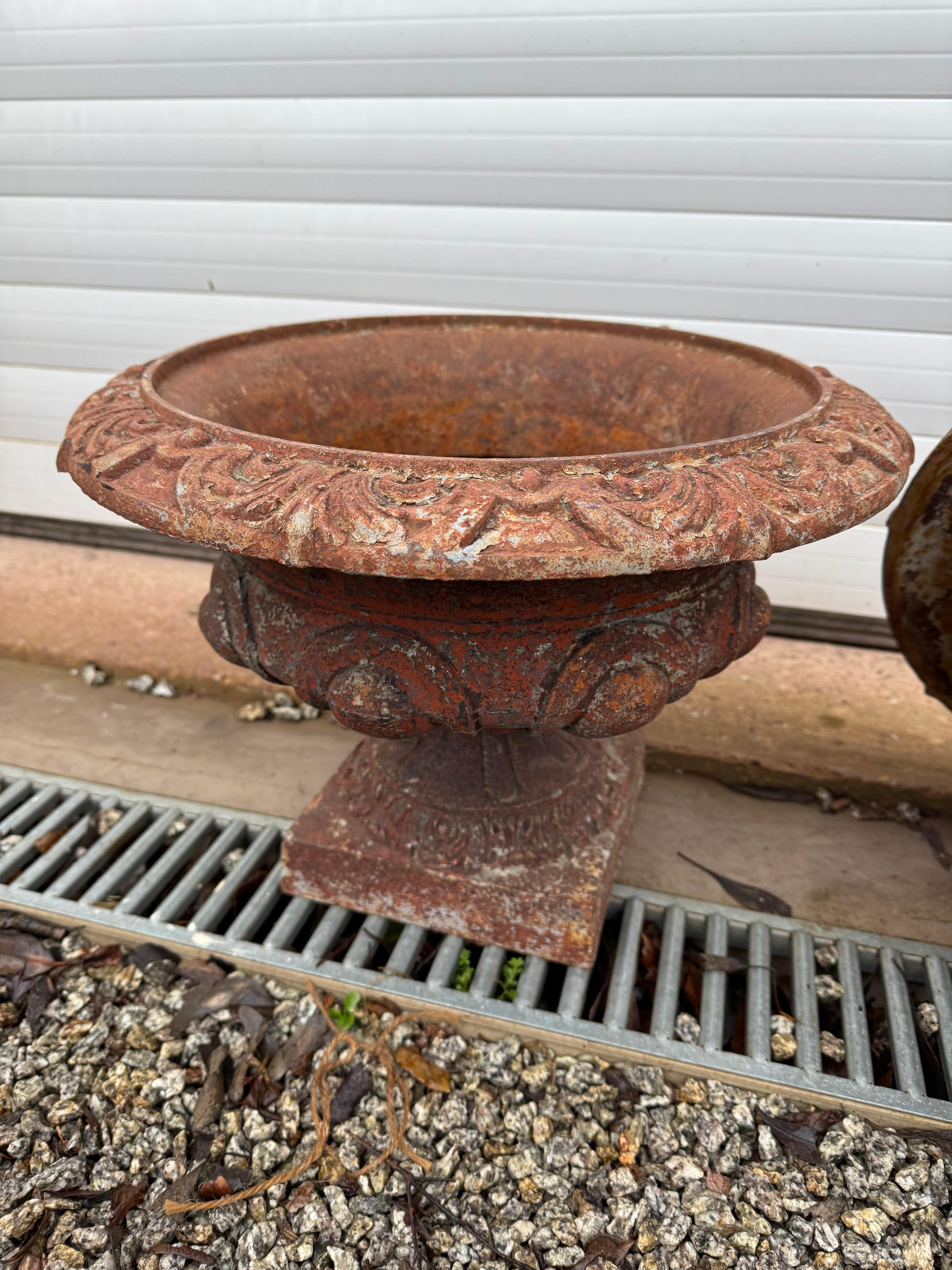 Pair of 19th century cast iron urns / planters For Sale 2