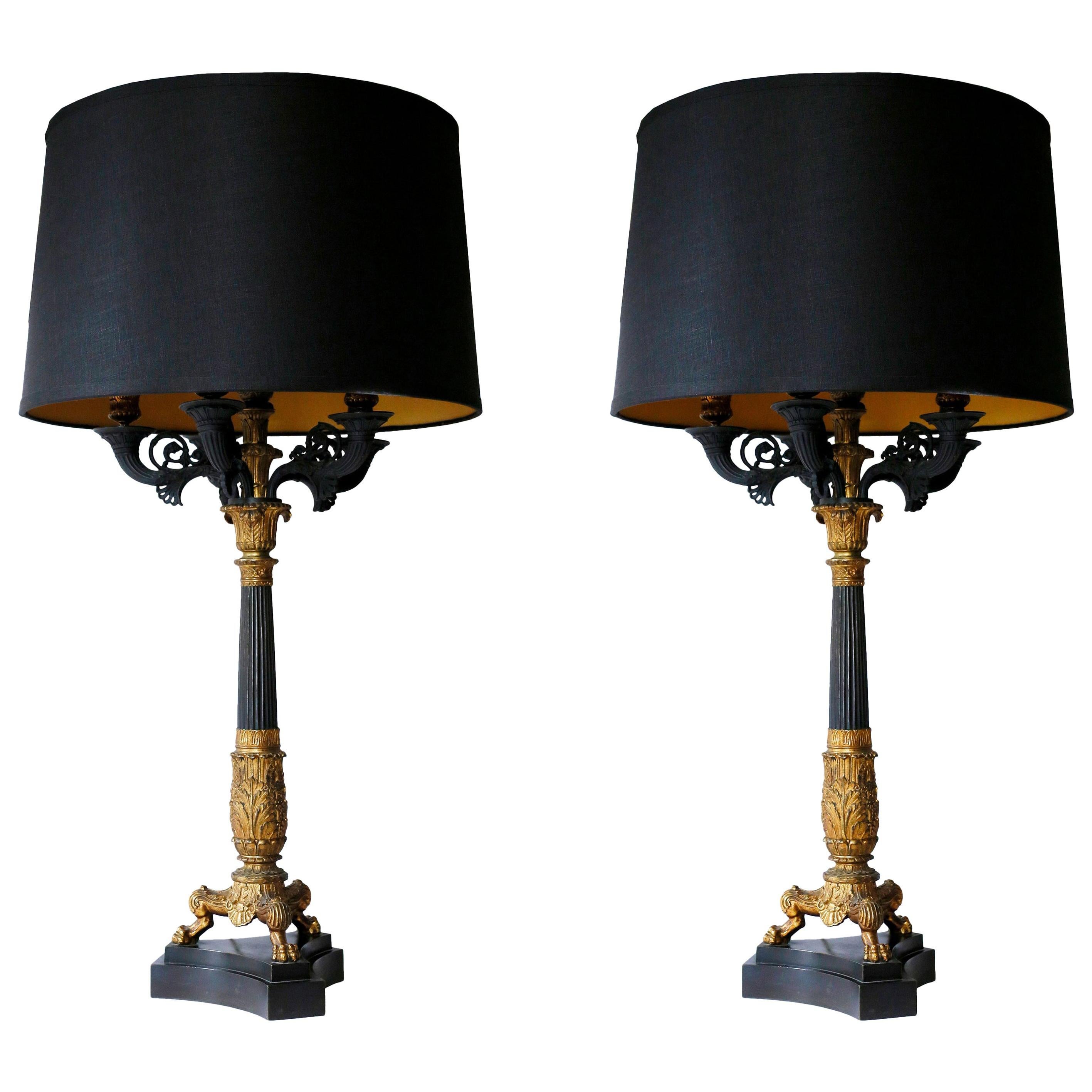 Pair of 19th Century Charles X Bronze Doré Candelabra Lamps