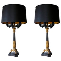 Pair of 19th Century Charles X Bronze Doré Candelabra Lamps