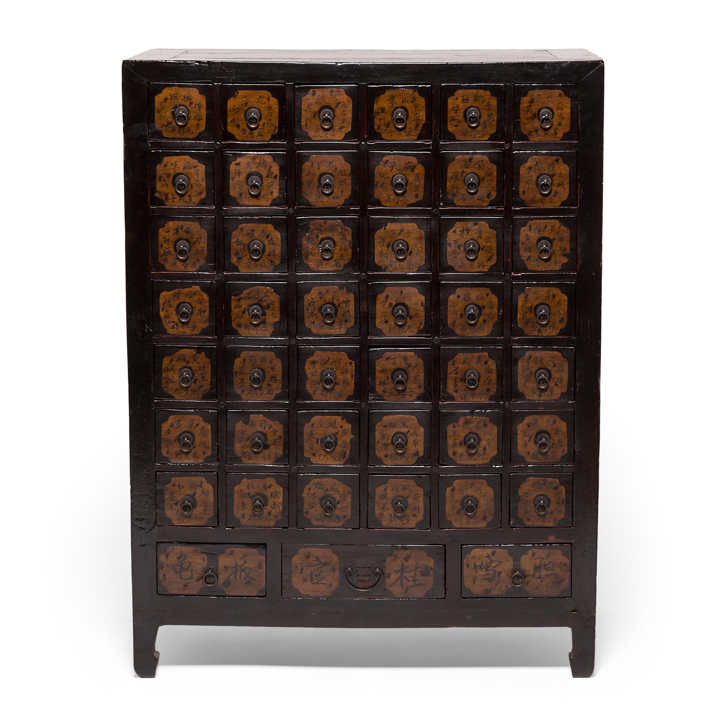 Pair of 19th Century Chinese Apothecary Chests 5