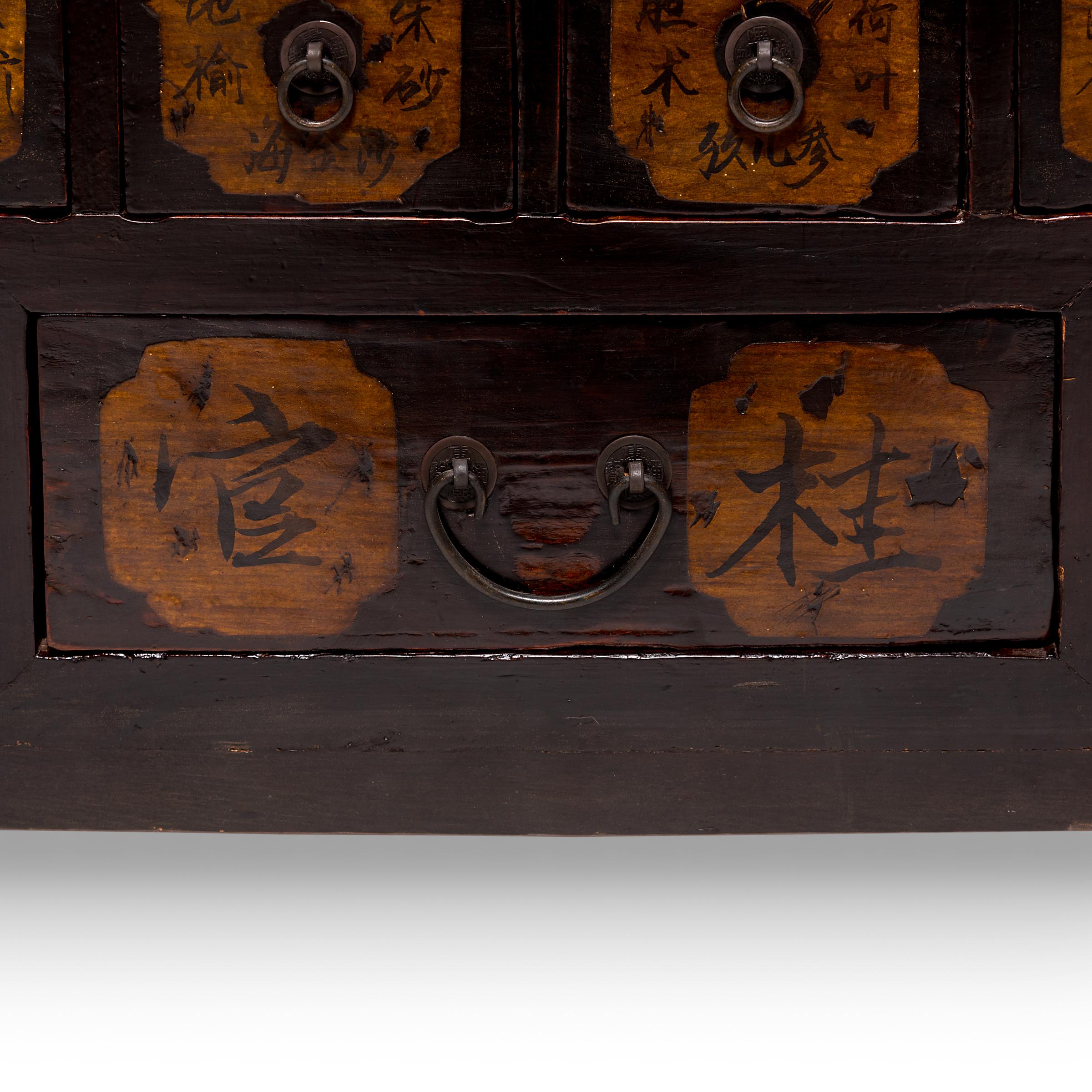 Pair of 19th Century Chinese Apothecary Chests 12