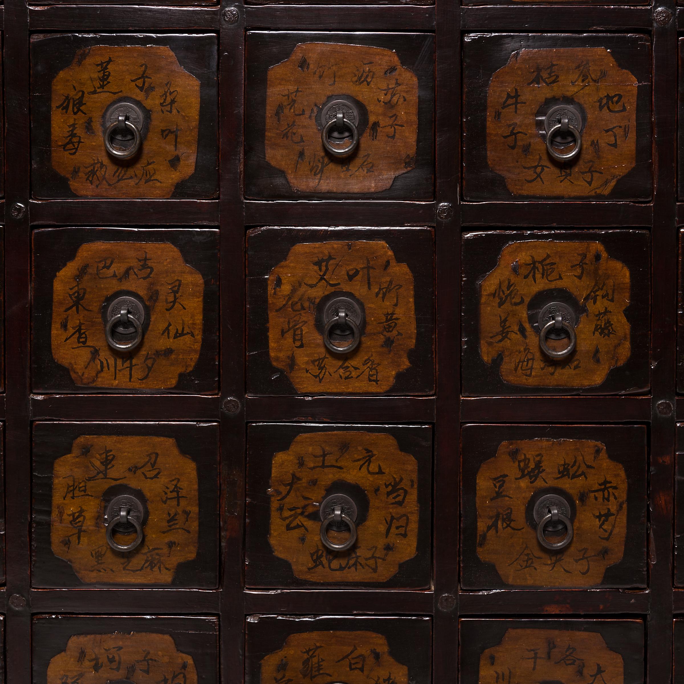Pair of 19th Century Chinese Apothecary Chests 3