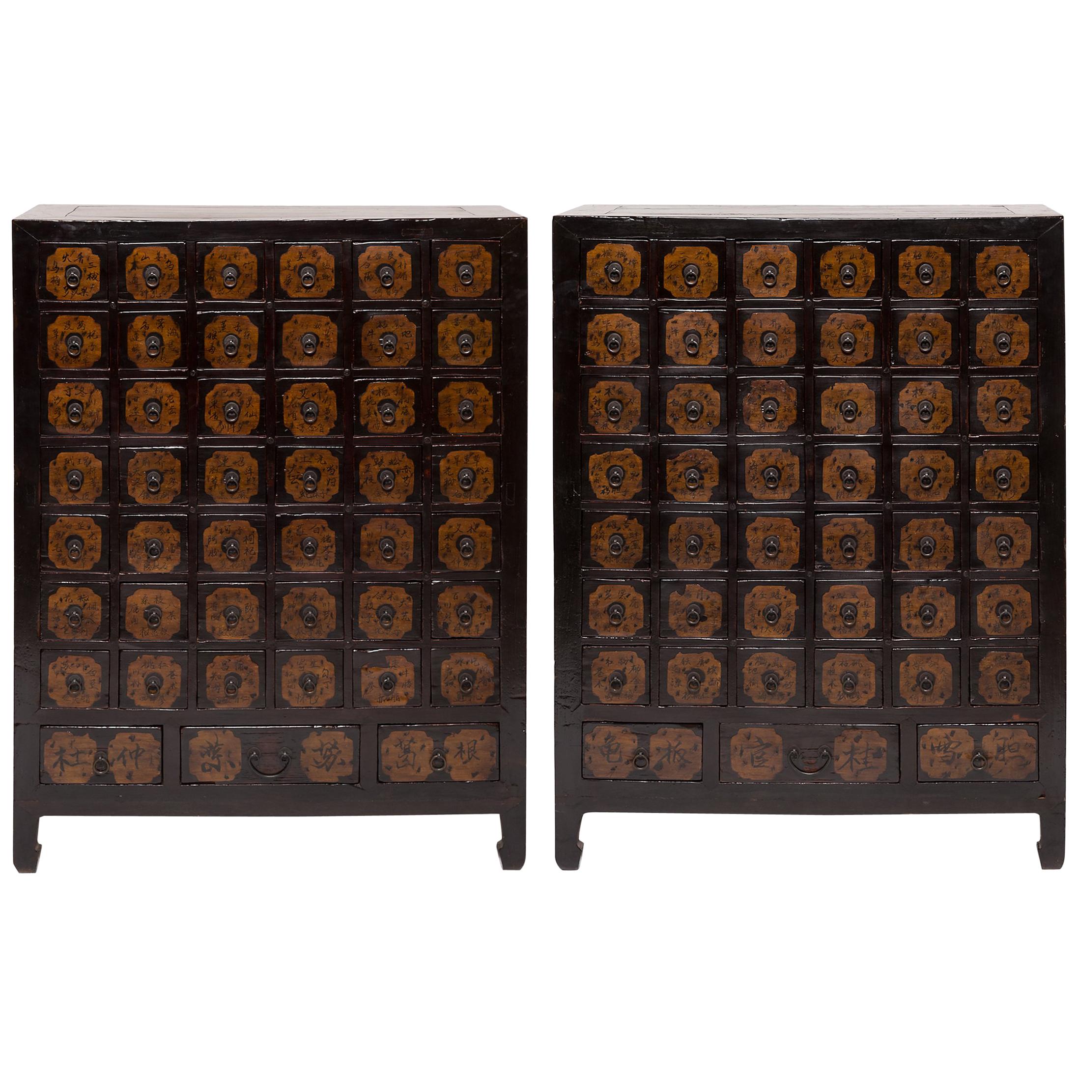 Pair of 19th Century Chinese Apothecary Chests