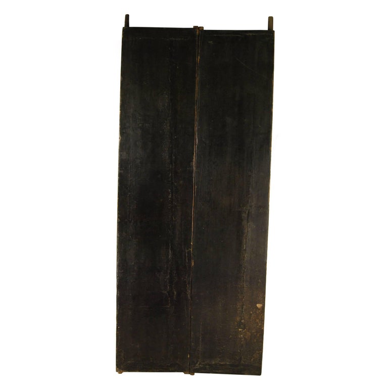 Pair of 19th Century Chinese Black Lacquer Doors For Sale at 1stDibs